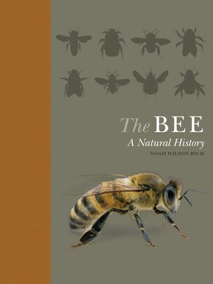 cover image of The Bee